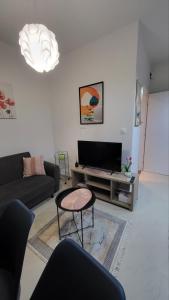 Nikola Studio