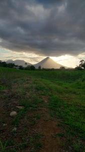 Divina Naturaleza
