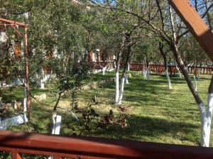 Kymata Nisos-Samothraki Greece
