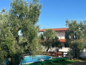 Valle degli Ulivi Rooms