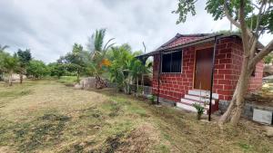 Hampi Nature farm stay