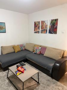 Center 23