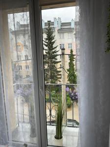 Apartament w centrum Kutna