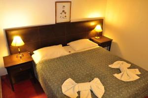 Hotel y Cabañas del Nevado