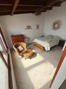 Kusa house