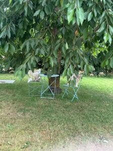 Ferienappartements Anke Lange