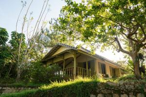 Dreaming Village Da Lat