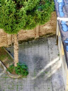 Casa Lo, Bright and Happy Apartment