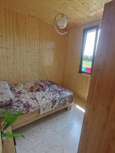 Levani Cottages
