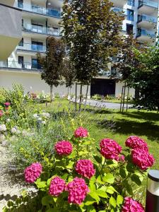 Azabia Luxury Apartments - Central Nest 5