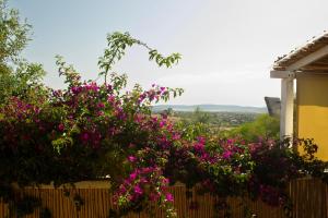 Agriturismo Da Milva - Il Lentischio