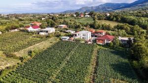 Baias Wine