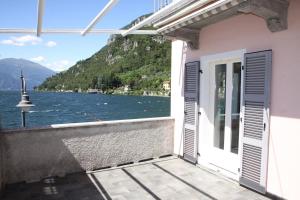 Holiday House Viola