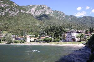 Holiday House Viola