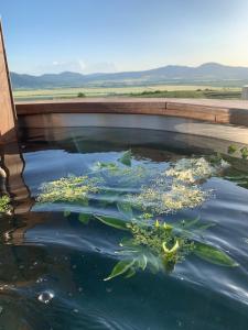 Glamping Domik Tokaj