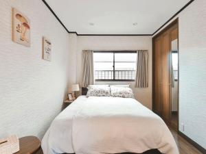 Family, group, 13 people, Namba, Shinsaibashi, Kuromon Market, Tsutenkaku, Umeda, Universal Studios, convenient transportation in the city and airport