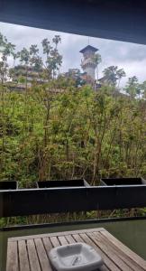 Paradise Jungle