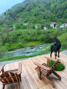 Hasretim Villa Bungalov