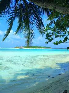 Portia Hotel & Spa - Beachfront