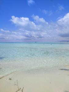 Portia Hotel & Spa - Beachfront