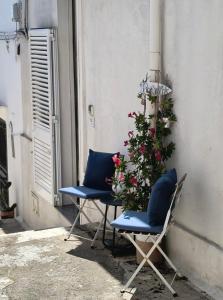 Casa Shabby Lux