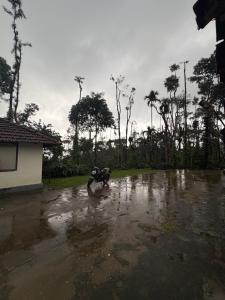 Gopetown Homestay