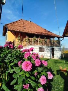 Domaćinstvo Nikolić-Milicevo Selo