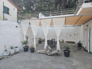 Blue Harbour Apartments
