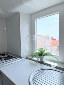 Lxapartments
