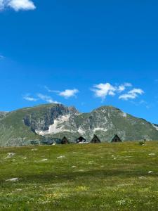 Mountain peaceful cottages
