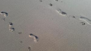 Arrifana Beach- T2 Sun & Surf Flat