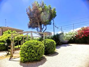 Domus Dafne Apartment