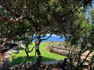 La Dolce Vita 3 img2