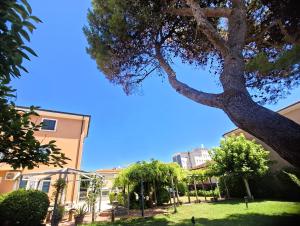 Domus Dafne Apartment