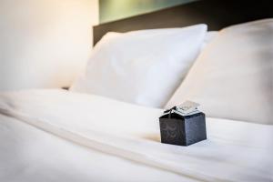Hotels Hotel du Maine : photos des chambres