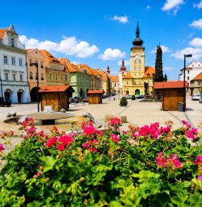 Apartment in Žatec