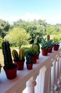 Skyverde Terrace