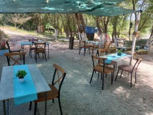 Micro Africa Camping Site