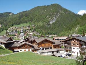 Studio cosy 4 pers, ski au pied, terrasse, garage, WIFI - FR-1-437-66