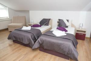 Apartmani Stojca