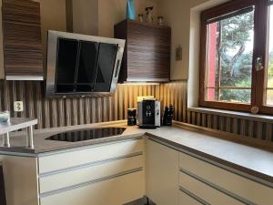 Spacious 3 plus 1 apartment 90m2 with terrace and garden