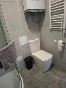 Winnica 61