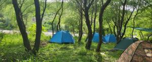 Micro Africa Camping Site