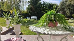 CALLAS bungalow by the sea in COCOland