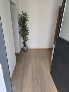 Apart-hotel Lindo Verde t2