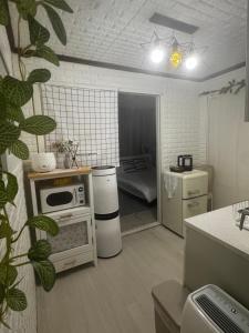 화이트 노들