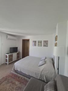 Apartment Roko