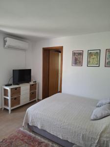 Apartment Roko