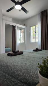 Fuerkanda Apartment, Corralejo