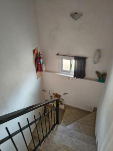 Duplex EyC
